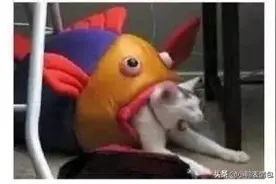 【恶搞图片】啊啊啊啊啊啊啊图片