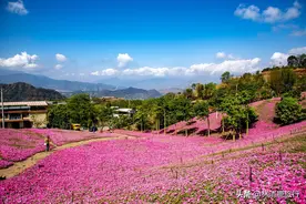 中国这座山区县城，冬天不冷，夏天不热，好多东北人在此养老图片