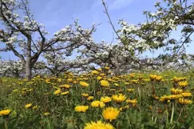 【旅游秘籍】外出谨防旅游病 出门前该准备啥图片