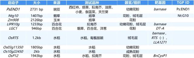 进来抄作业，启动子要这么选