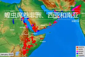 “非洲之角”沙漠蝗虫肆虐，原因或是厄尔尼诺现象使降水异常增加图片