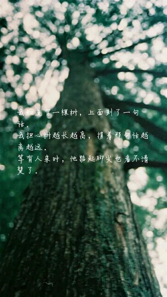 散文：在爱情的世界里，应该有一份懂得