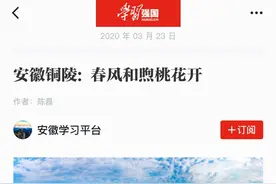 脱贫攻坚丨铜陵“花海经济” 实现乡村振兴“美丽”成果图片