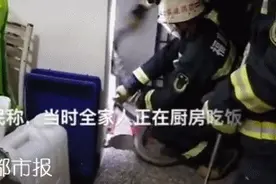 太吓人！莆田一家人正吃着饭，突然冒出2米长眼镜王蛇图片