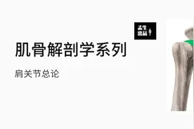 肩关节肌骨解剖学——肩关节运动剖析：肩锁、胸锁、肩胛胸 连载图片