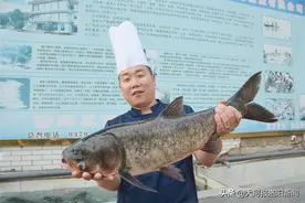 洛阳农村小伙钻研厨艺20年，能用鱼做出40道菜，做菜秘诀首次公开图片