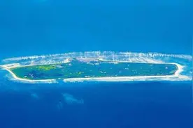 西沙东岛发现野牛群，数量达400头，专家从牛粪里找到牛来源图片