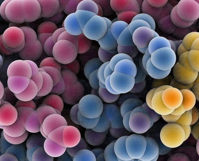 浠庢棤鏈哄埌鏈夋満锛岀敓鍛界殑鍑虹幇鍑犱箮鏄笉鍙兘鐨勶紝鐢熷懡鍒板簳浠庝綍鑰屾潵锛? onerror=