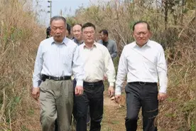 温铁军：什么男权女权？问题本质，是资本的定价权图片