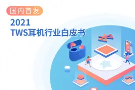 万字长文，2021最新TWS耳机白皮书下载图片