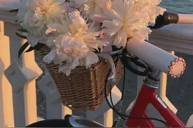 什么是爱情，你还期待爱情吗？图片