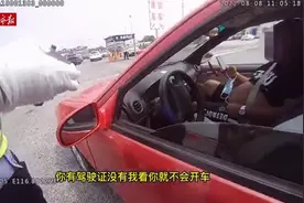 不要命！驾驶证还没考过，河北一男子竟到高速上练车？图片