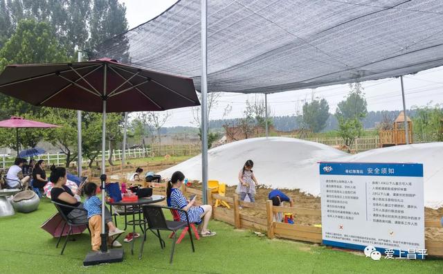 秋日农场嗨玩！露营野餐，种菜摘果，过向往的田园生活