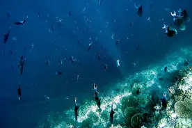 揭秘深海的亮光之谜图片