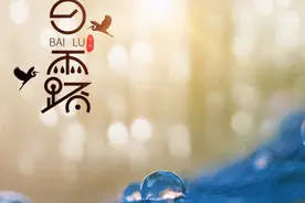 小姐姐闹肚子，原来问题出在这两个点！牢记五条“白露”养生诀图片