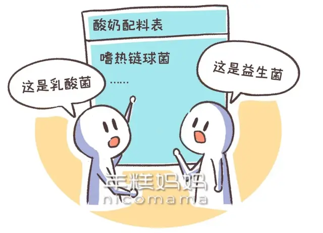 乳酸菌身体乳是啥