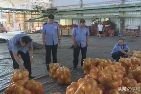 平和开展蜜柚打假执法，查处3起违法行为图片