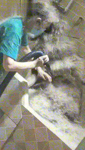 5ֹ͵ϰ嶼ᡰ