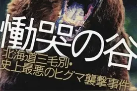 日本食人熊：三天吃10人，专狩猎一种人类，光照片就让人难以置信图片