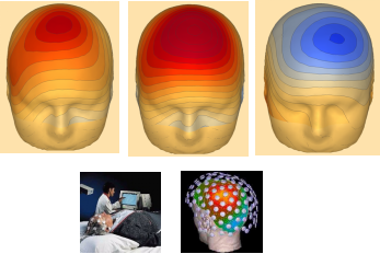 茶叶中的茶氨酸是什么，它的保健功效：抗血压、抗肿瘤、缓解抑郁症、增强记忆力