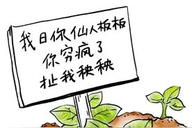 四川人说话的乐趣，笑死个仙人板板图片