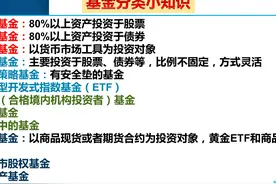 不买养老保险，每月定投1000元基金，坚持30年能养老吗？图片
