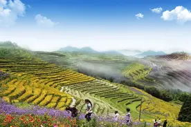 超实用避暑攻略！这个暑假来福建这些地方清凉一夏~图片