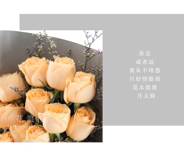 香槟玫瑰适合送什么人？香槟玫瑰代表的花语是什么