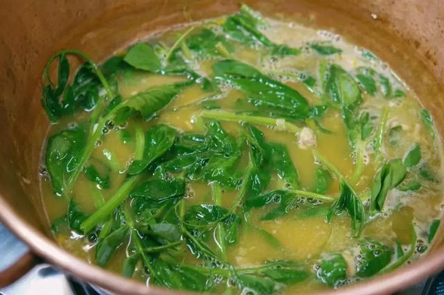 关于花胶鸡汤的说说 2025年关于花胶鸡汤的说说文案