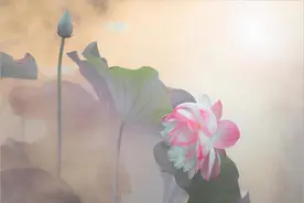 断联以后，依然有这些举动的男人，多半离不开你了图片