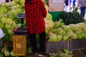 囤菜原来也有小技巧，这样囤白菜、萝卜和大葱，能吃一冬天都不坏图片