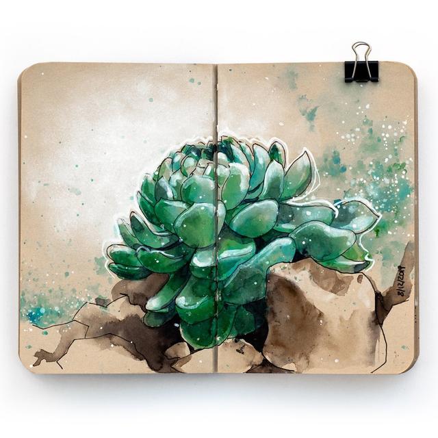 艺术家的日常水彩练习写生簿,附分解步骤,多肉绿植美食都有