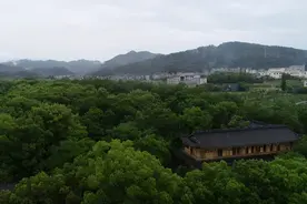 百年初心，永康印记｜大型融媒新闻采访行动（十）——走进西溪图片