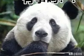 听说，成都的动物都跑上街了？图片