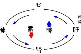 枳术丸，历代医家加味组方；医生说：方子好用就好，不在药味多少图片