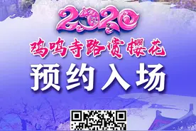网上预约，凭二维码电子票进入，2020年樱花季鸡鸣寺路赏樱提示图片