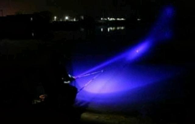 夜钓鲢鳙晚上什么时候最佳时间（夜钓鲢鳙做到这几点）