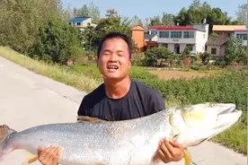 误伤？湖北男子钓草鱼却意外钓起59斤水老虎，男子：溜得腿都软了图片