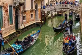 疫情封锁后威尼斯水道“极度清澈”，水母、鱼群、白天鹅纷纷露面图片