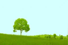 Snapseed手机修图实战教程：平淡无奇的照片，三步秒变文艺清新范图片