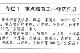 定了！未来五年，广西这四个县将重点打造成千亿级工业强县图片