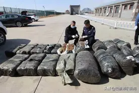 乌拉特海关查获一起走私案图片