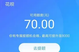 支付宝欠款二十到三十万左右，逾期了还不上会有什么后果？图片
