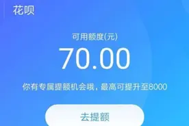 支付宝欠款二十到三十万左右，逾期了还不上会有什么后果？图片