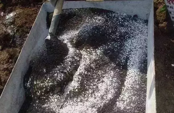 果树全营养“四肥”调理技术