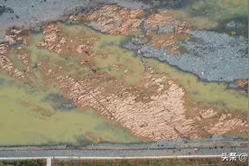 伊河嵩县段现“奇石”？坐标：陆浑大桥附近！距今约5000万年图片