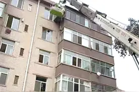 包头六处空中鸽笼被拆除图片