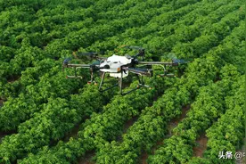 大疆植保机2020年作业面积突破5亿亩次 两款新机T30、T10发布图片
