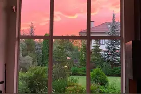 今日推荐：现代纯爱《协议结婚后我离不掉了》图片