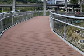 日常随拍集图片